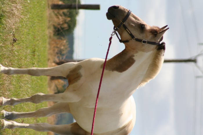 Photo de profil de mailan85