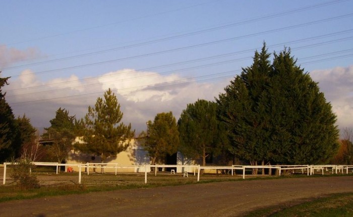 Photo de profil de harasdelaclef