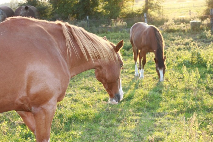 Photo de profil de didouche60