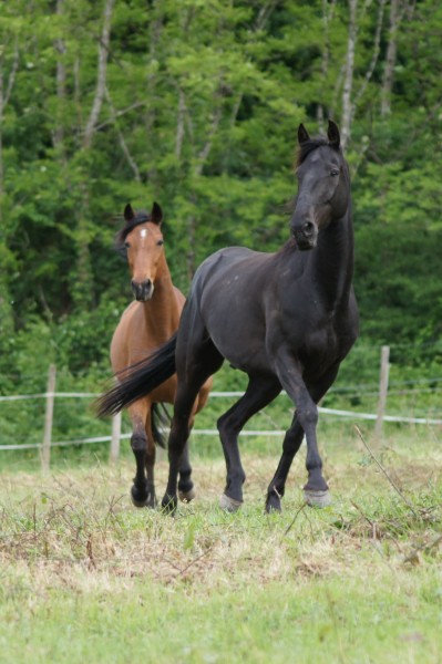 Photo de profil de vinou33