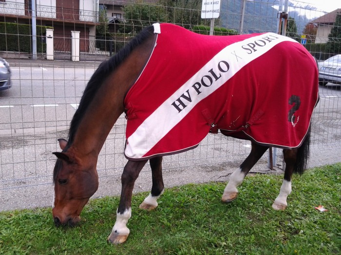 Photo de profil de mandy74