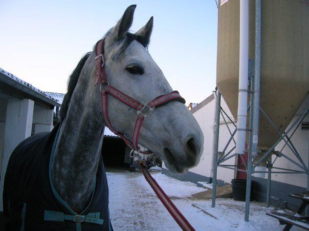 Photo de profil de harchiesjustine