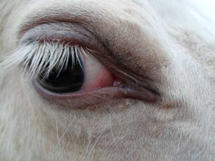 Photo de profil de painted