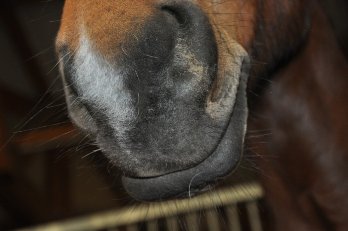 Photo de profil de looping77