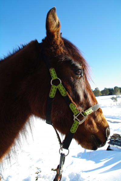 Photo de profil de woodhead05