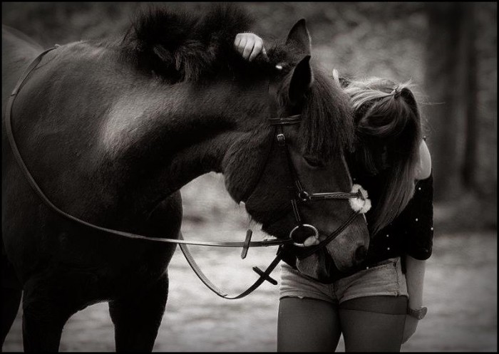 Photo de profil de ponyliciouse