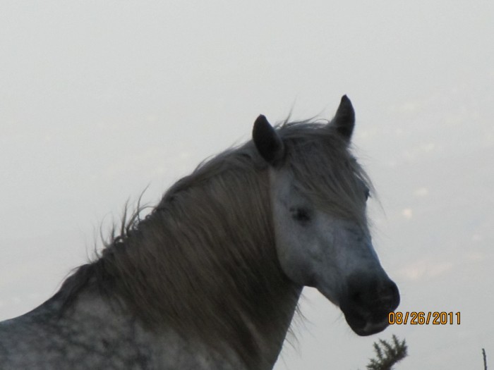 Photo de profil de volo0304