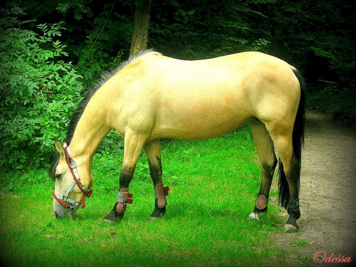 Photo de profil de didine2895
