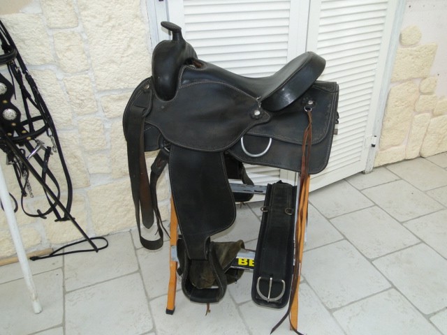 Photo de profil de liscana