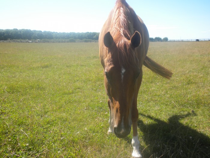 Photo de profil de roxynous