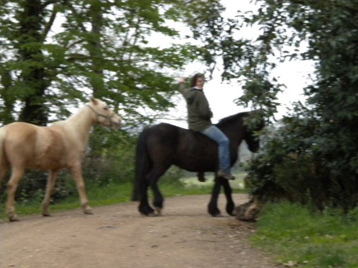 Photo de profil de ive32