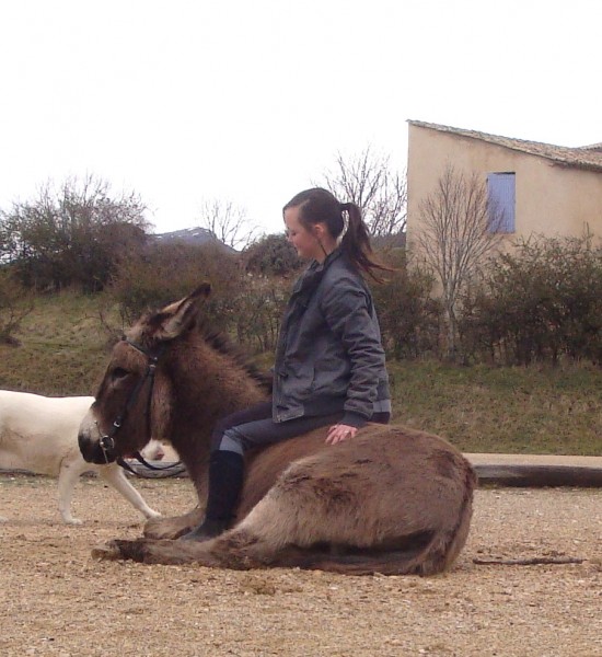 Photo de profil de yakulu