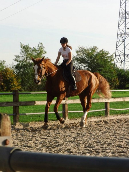 Photo de profil de poneyteuse4ever