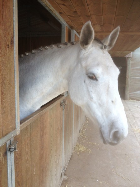 Photo de profil de maycrist33