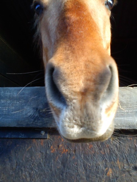 Photo de profil de loulloune