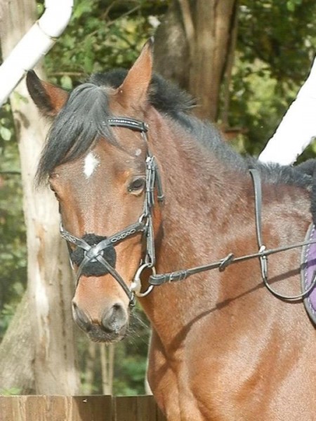 Photo de profil de noadella