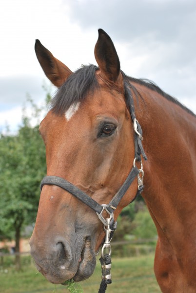 Photo de profil de noceur