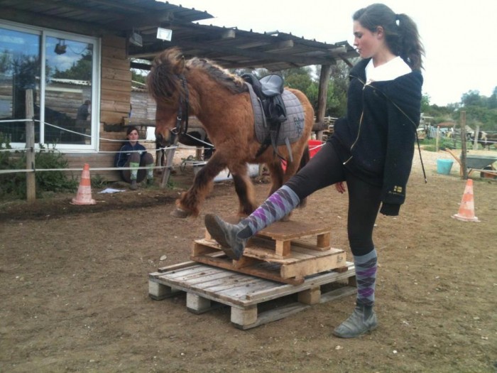 Photo de profil de marianetipi