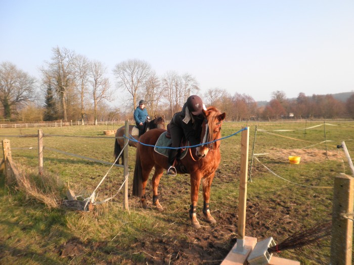 Photo de profil de jirvana35