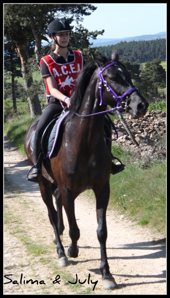 Photo de profil de julykabnerref