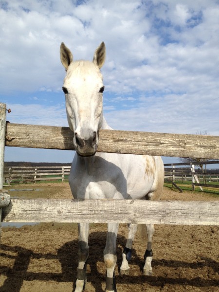 Photo de profil de fanny_6