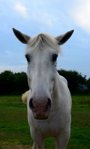 Photo de profil de grossebouboune