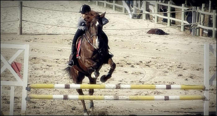 Photo de profil de laurina.dl