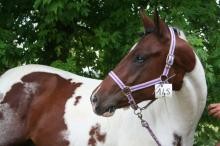 Photo de profil de ieonara