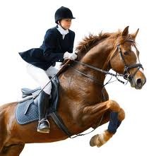 Photo de profil de liloucheval27