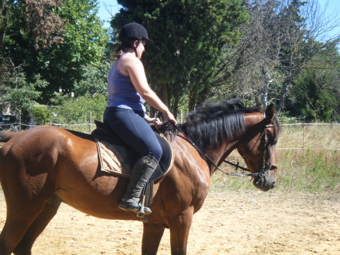 Photo de profil de laurahorses
