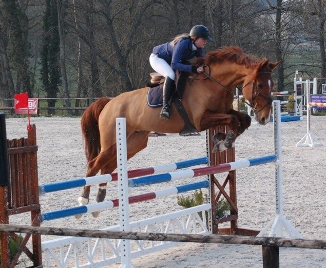 Photo de profil de poulain.12