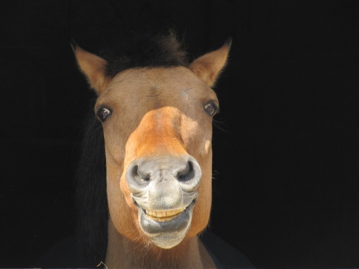 Photo de profil de missegessie