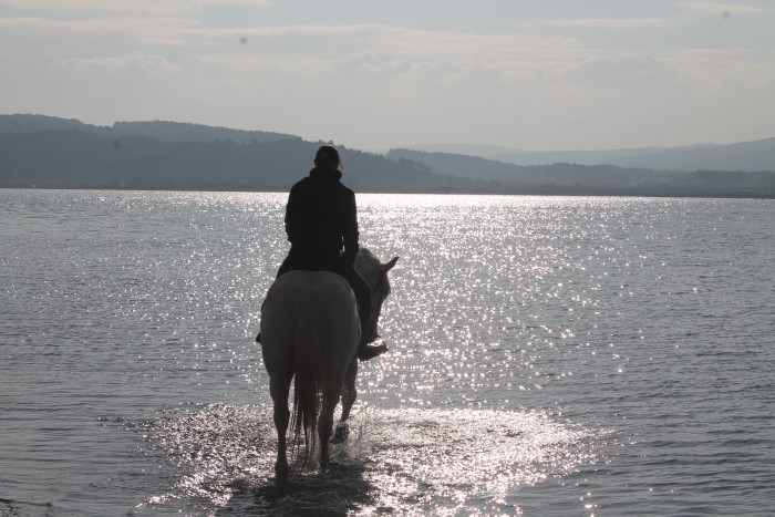 Photo de profil de ondinee11