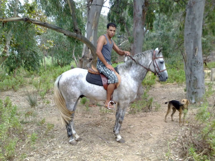 Photo de profil de mouslim