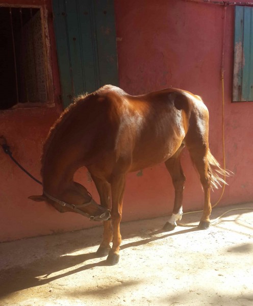 Photo de profil de kenzakilani