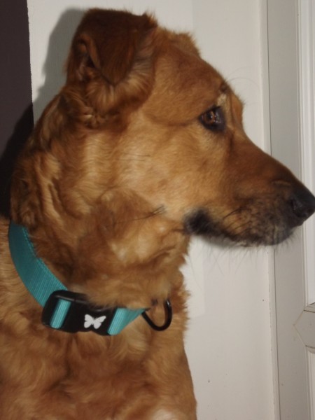 Photo de profil de clotilde37150