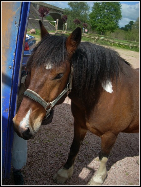 Photo de profil de pinki123