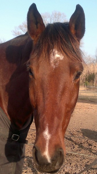 Photo de profil de wine84