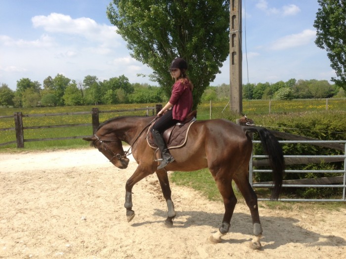 Photo de profil de hyndra