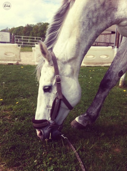 Photo de profil de leax78