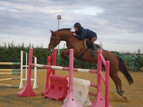 Photo de profil de amaya31