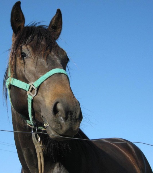 Photo de profil de vegas49