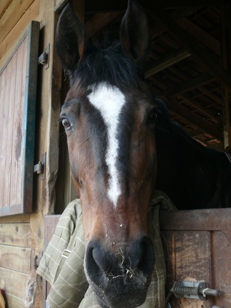 Photo de profil de hodyssee