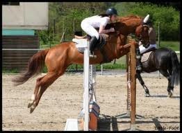 Photo de profil de stassiiiy