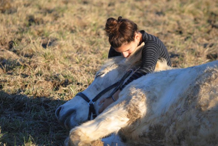 Photo de profil de rioalessandra
