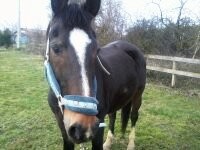 Photo de profil de gobby