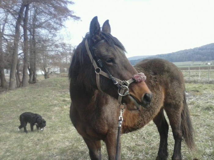 Photo de profil de mskay
