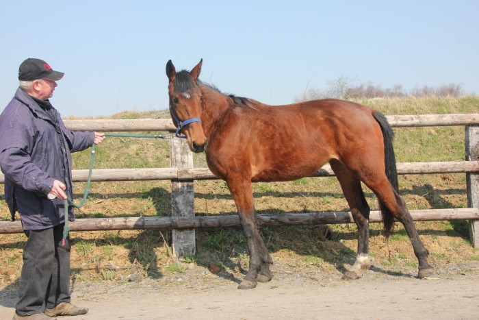 Photo de profil de francis38