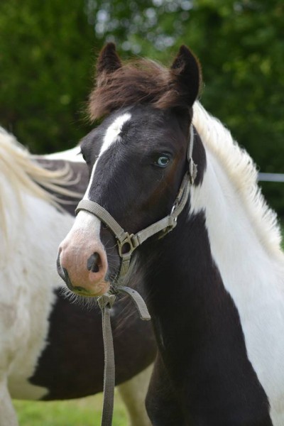 Photo de profil de nauno29