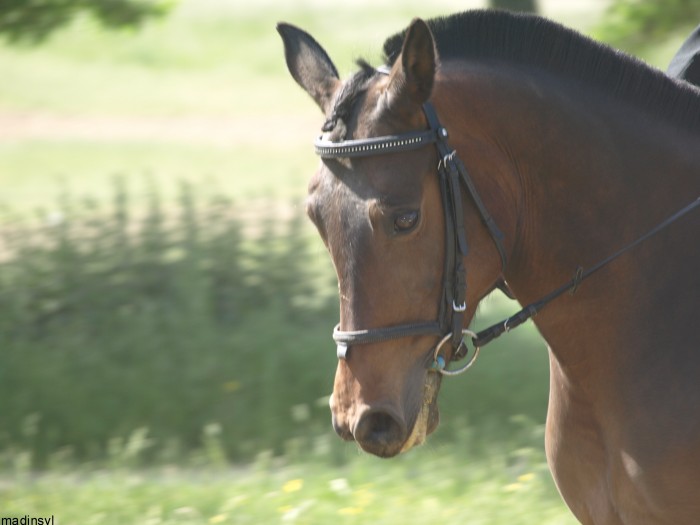 Photo de profil de quenixse